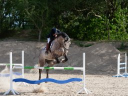 IMG_7757_web